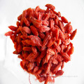 dried small grains goji berries Ningxia factory wholesale goji berry